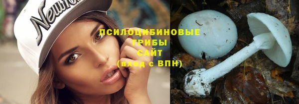 прущие грибы Алексеевка